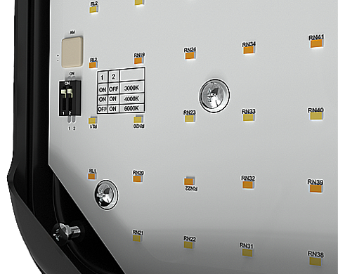 xcite wallpack ccswitch2